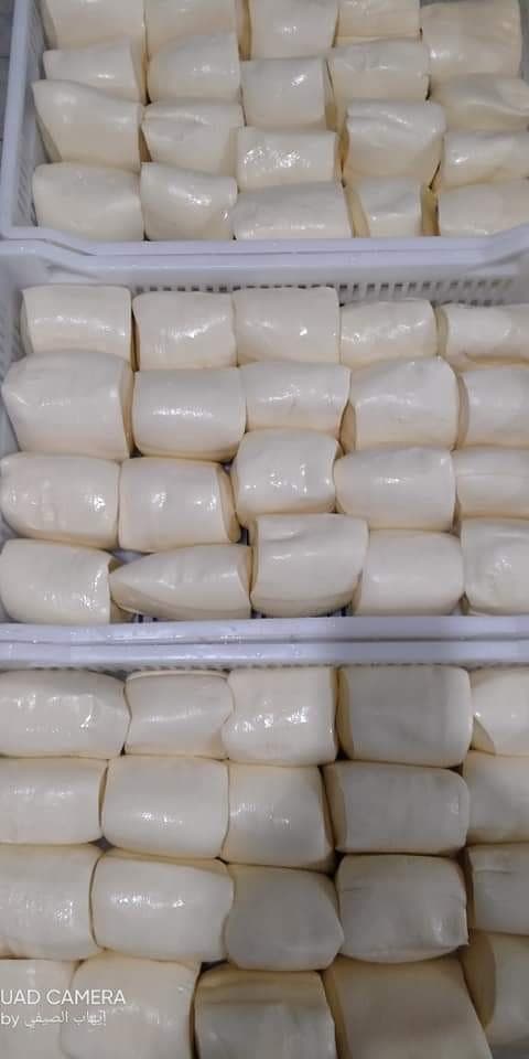 mozzarella-cheese